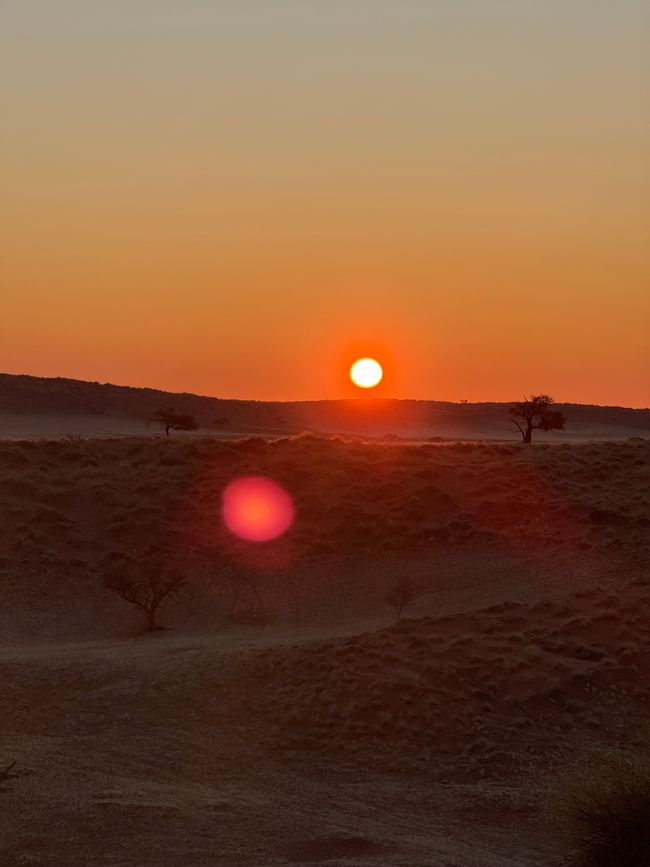 Namibia 2k25 🦓🏜️🐘