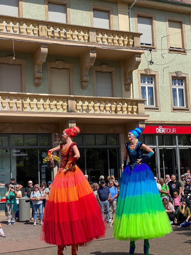 Die Tänzerinnen vom Teatro Pavana