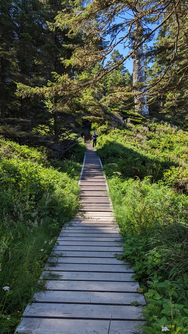 Etiqueta 7: Parque Nacional Pacific Rim - Ucluelet - Tofino