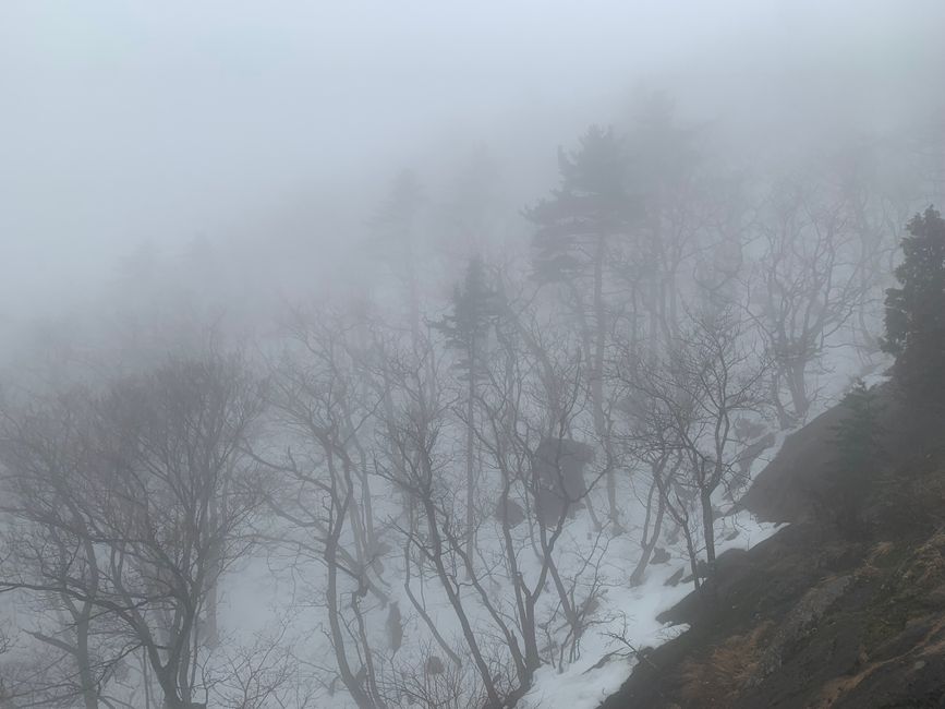 Sokcho & Parc National de Seoraksan