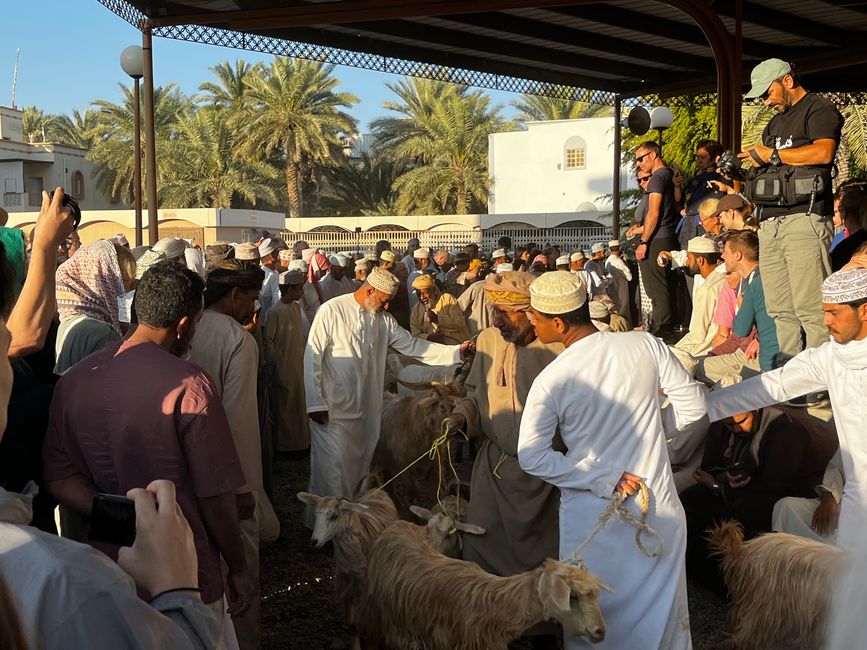 Nizwa
