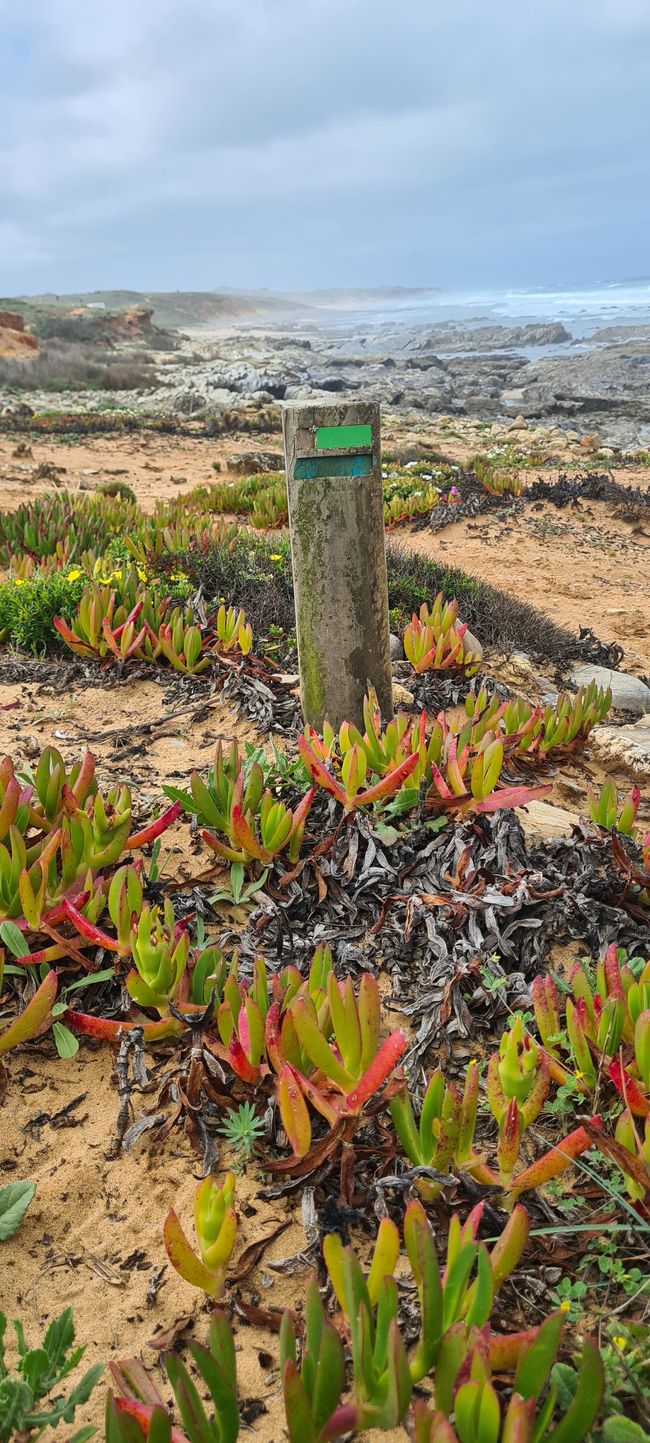 2. Tappa Porto Covo - Vila Nova de Milfontes