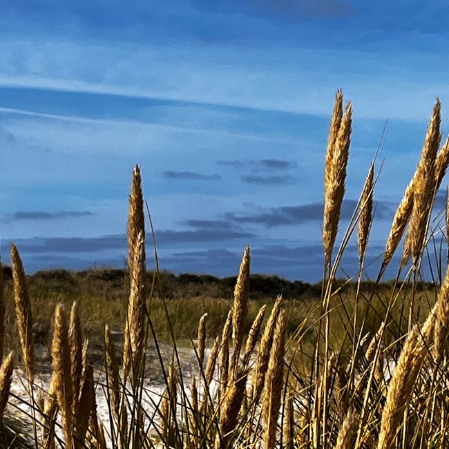 Ankunft in Hirtshals