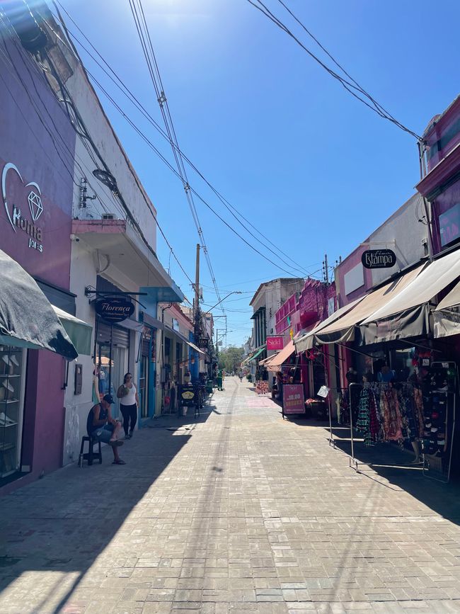 Saara de Cuiabá