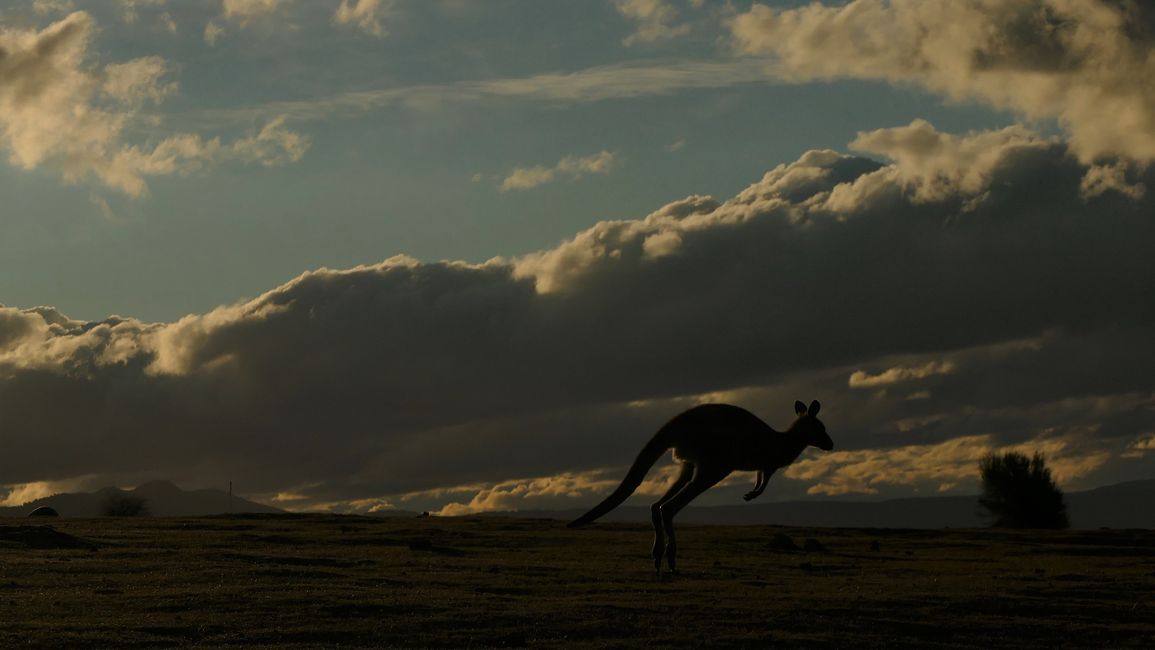 - Singapur & Tasmania 2019 -