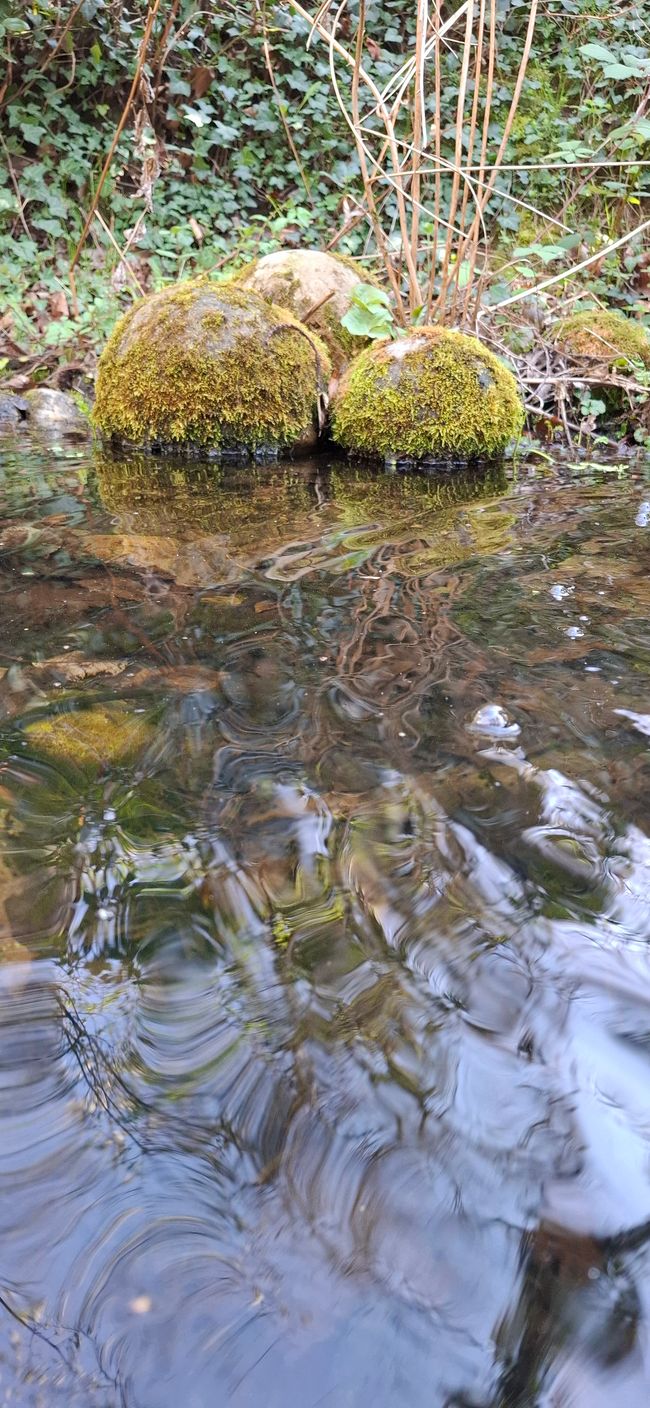 Wandern in Darmstadt 