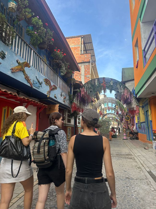 Medellín- die Stadt, in der alles erblüht?