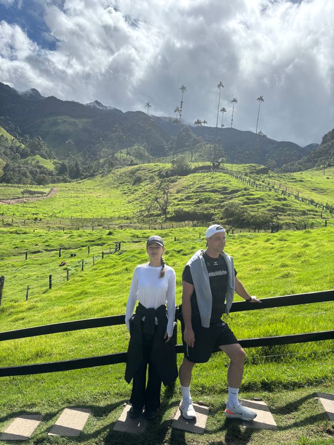 Cocora Valley
