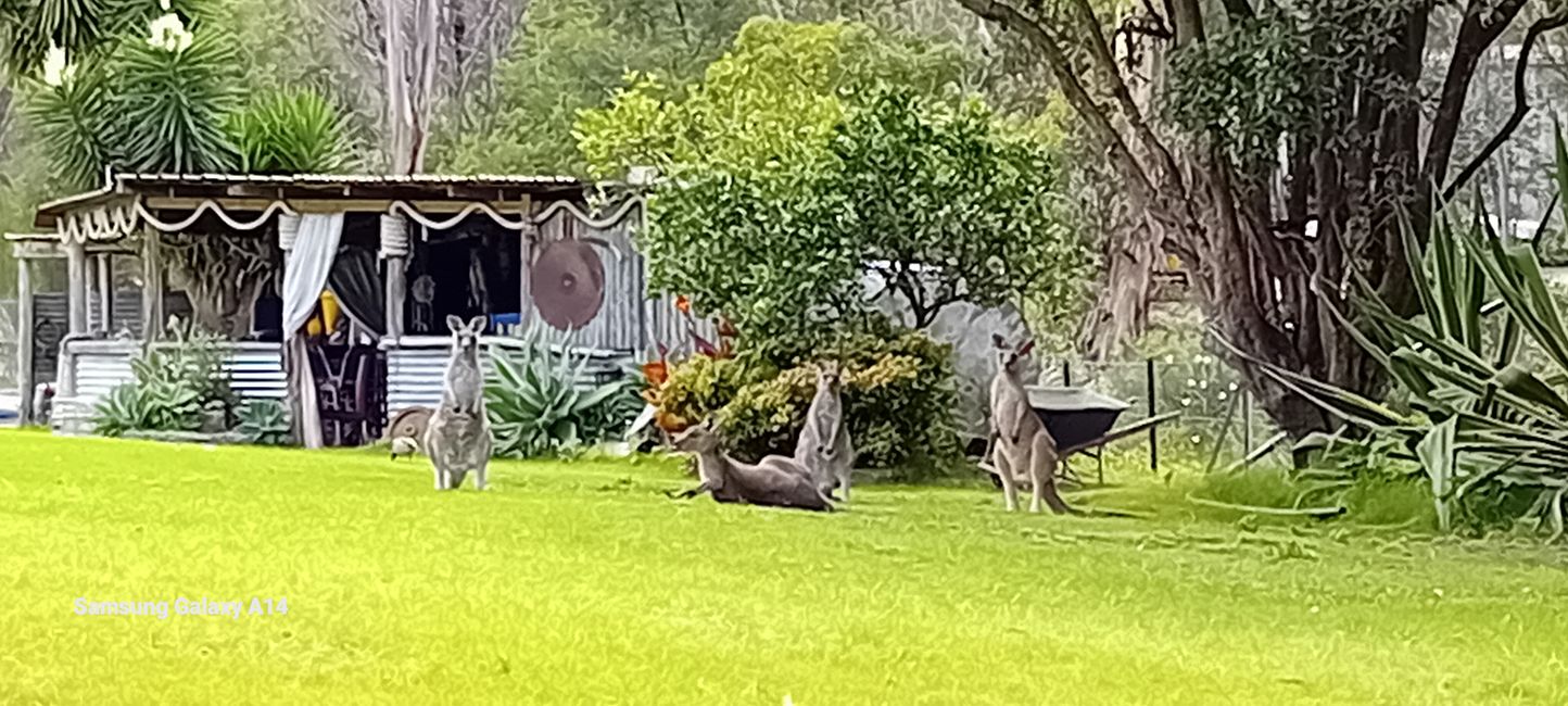 Camp sauvage