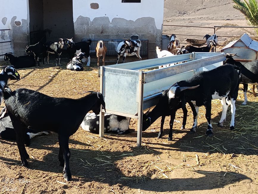 Puerto del Rosario / Fuerteventura