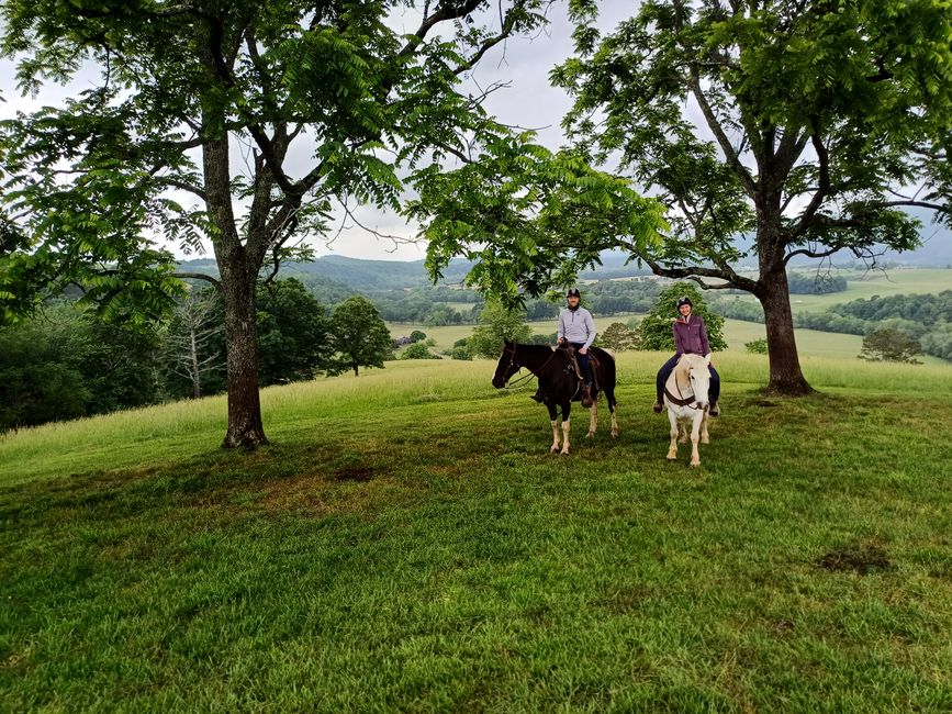 Horse back riding in Tennessee 