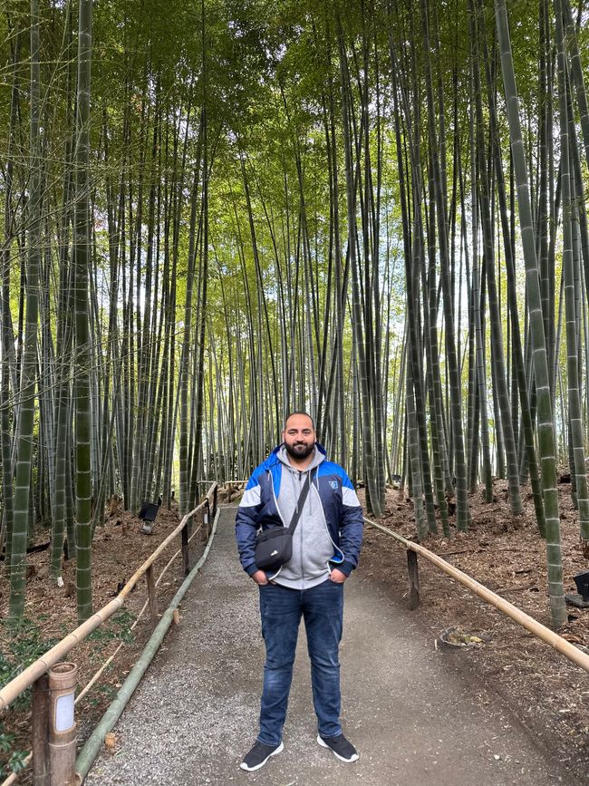 Bambus, Streetfood und Yakiniku