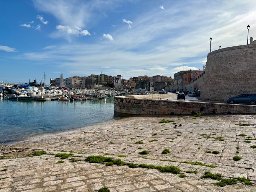 Bisceglie mit Sonne und viel Wind ☀️☀️🌬️