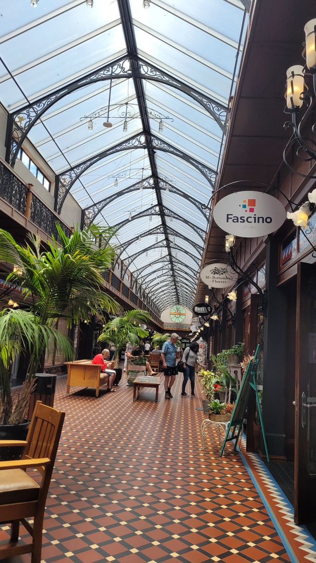 29.Januar-27.Februar 2025 Neuseeland
1.Februar