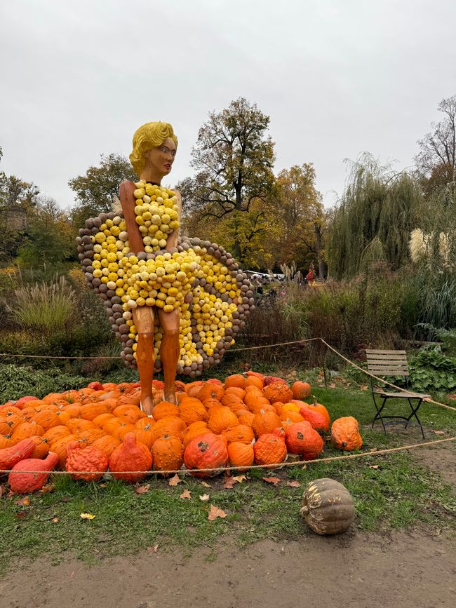 📍 Esposizione di zucche, Ludwigsburg/ 📍 Pumpkin exhibition, Ludwigsburg