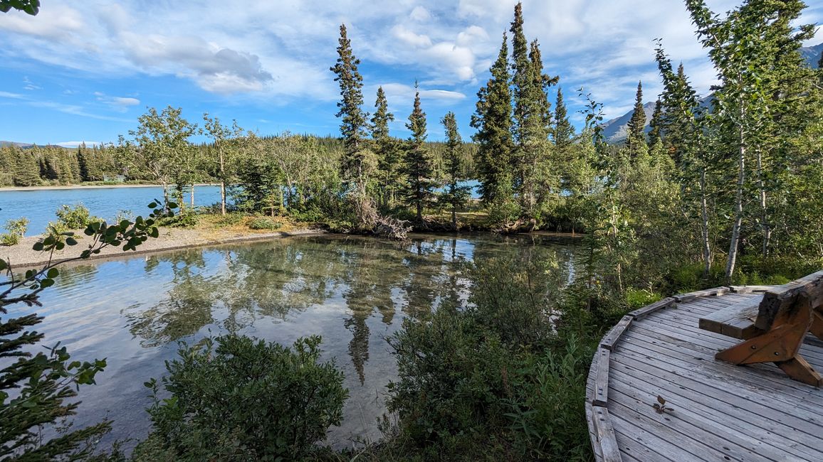 Tag 27: Bärenshow & fantastische Bergwelten - zurück nach Yukon/Kanada