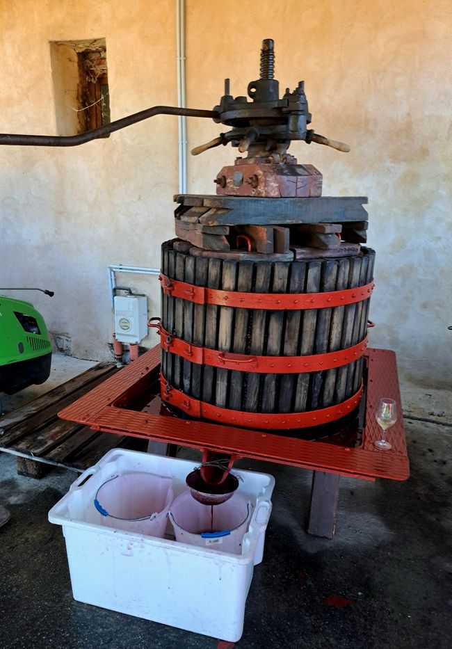 Weinpresse