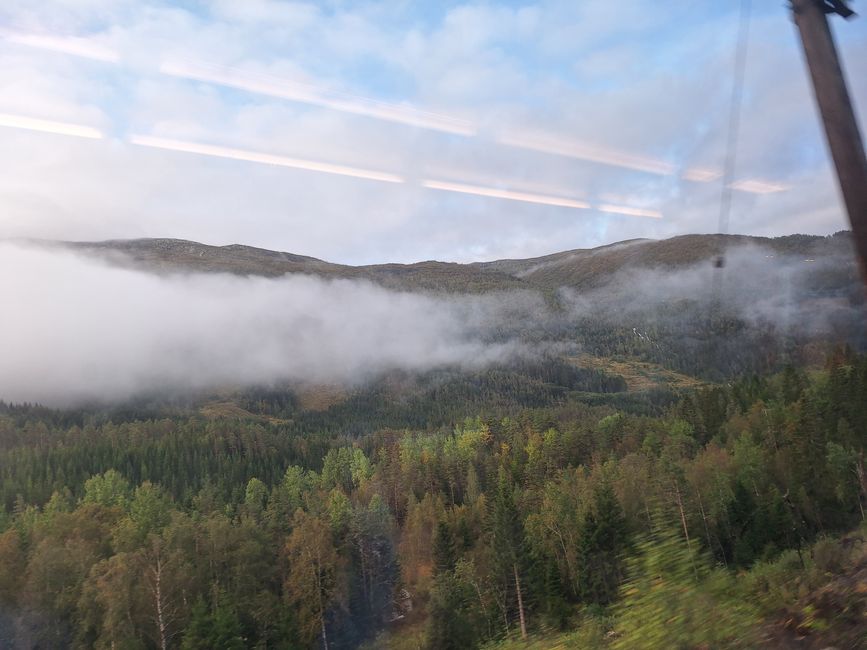 Etiqueta 7 Vossevangen - Flam