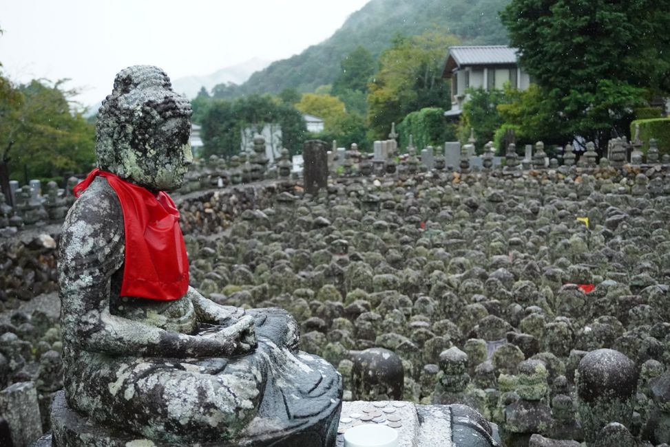 Gartenbesichtigung im regnerischen Kyoto