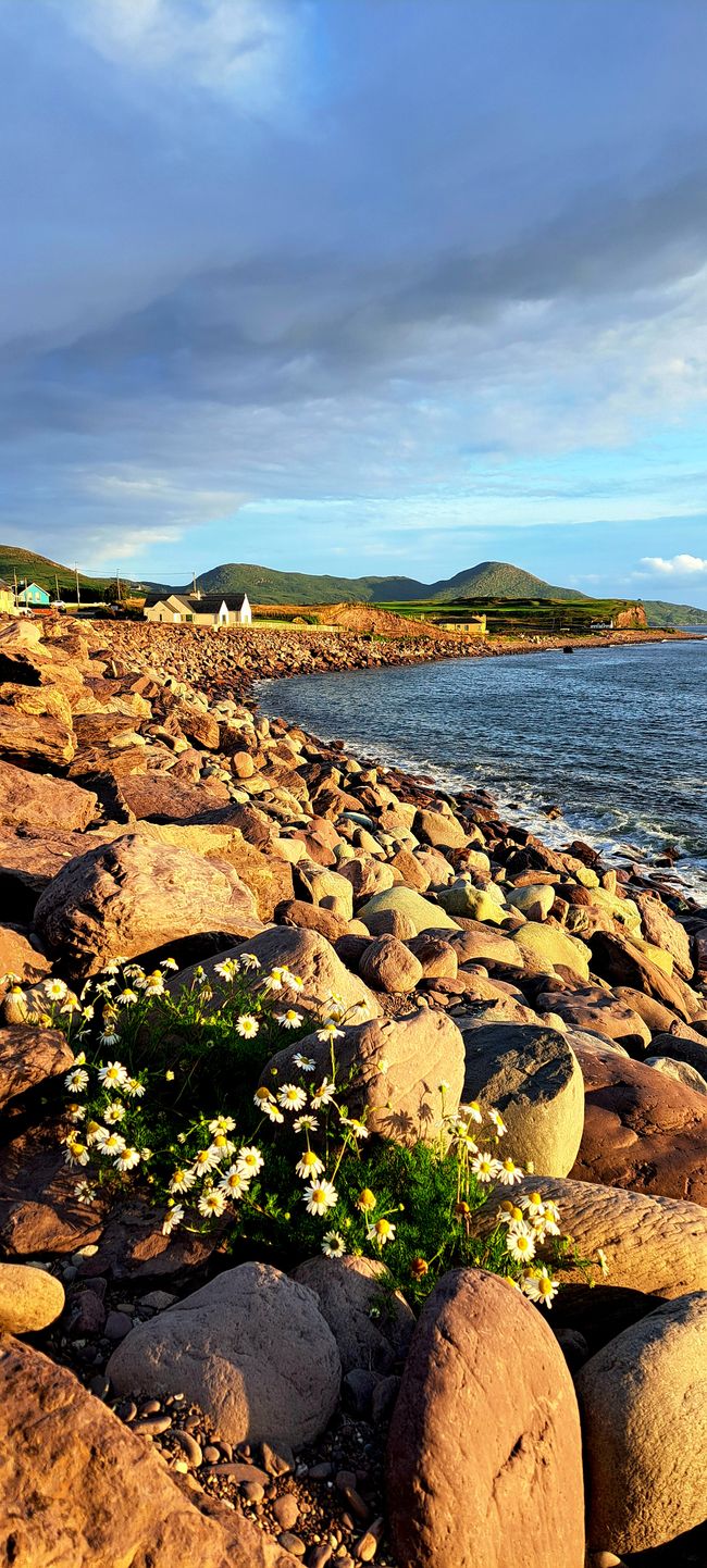 Waterville - der Name ist Programm