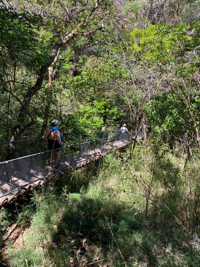 Ankunft Rincón De La Vieja
