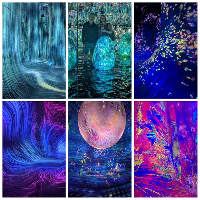 teamLab 现象