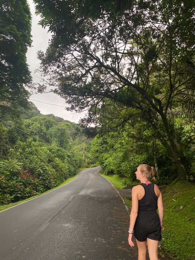 Panama 🇵🇦 🌴