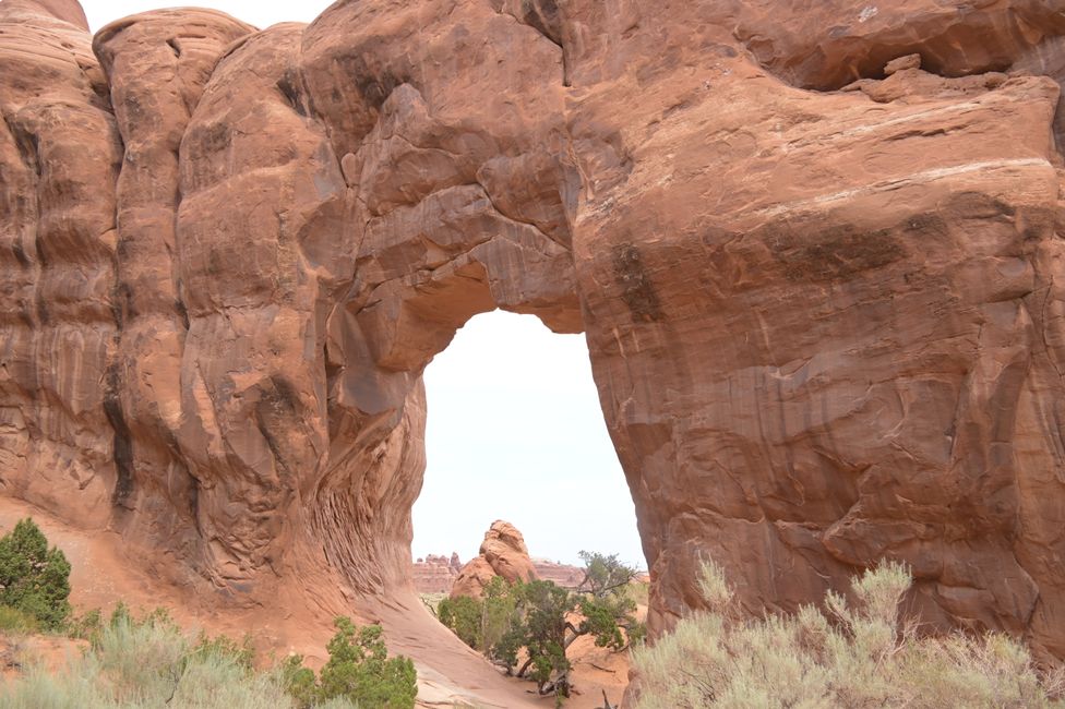 Devils-Garden-Loop - Pine Tree Arch