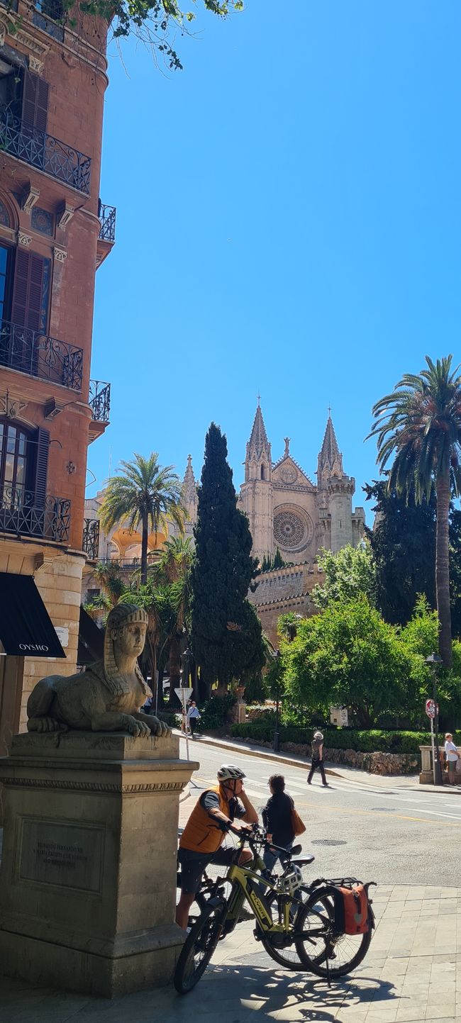 Das Finale von Pollenca nach Palma