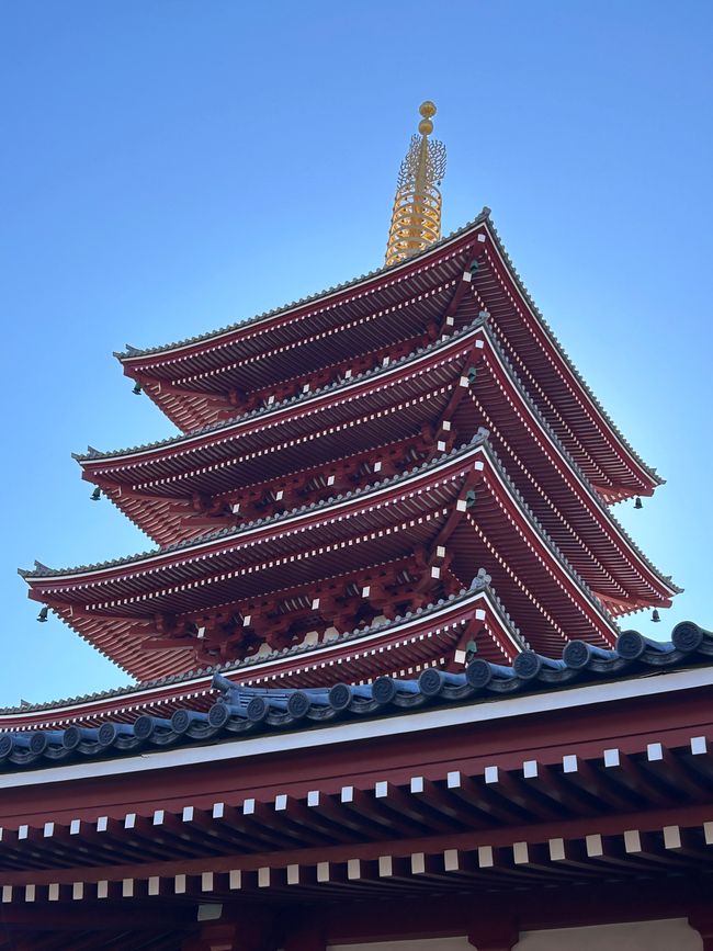 Cesta do Japón