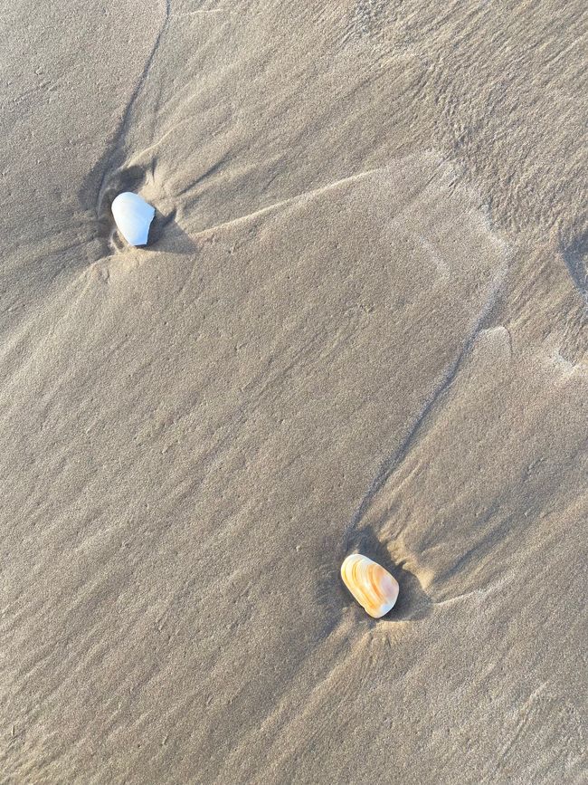 At the End of the World