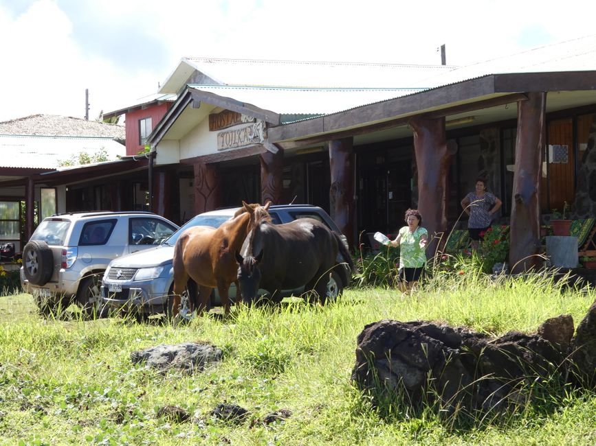 Isla de Pascua, día 1