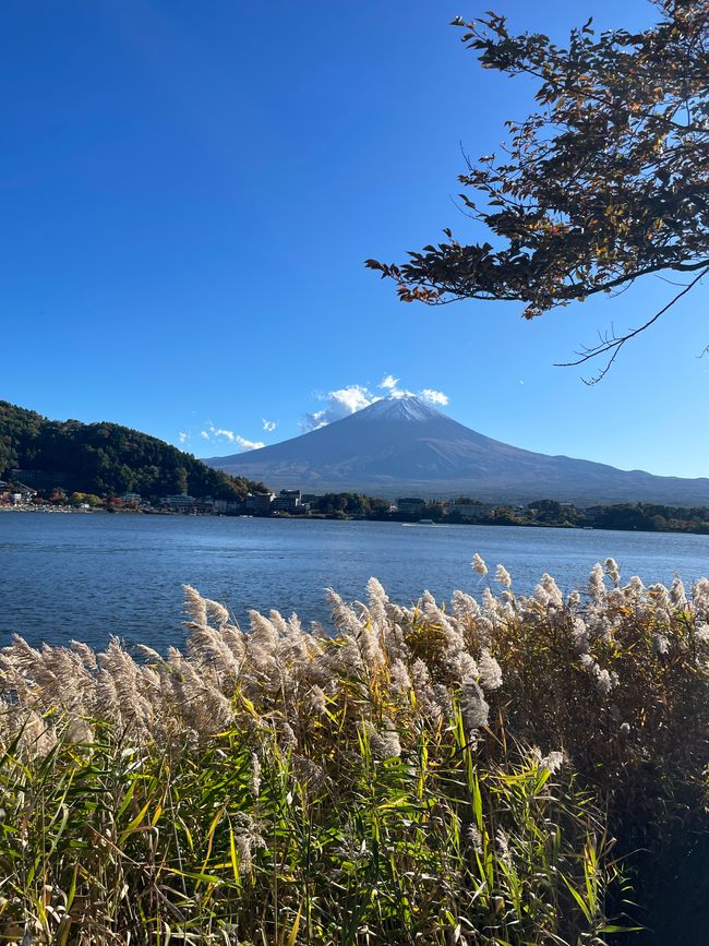 6. Ausflug zum Koli von Japan oder : Schon wieder ne fast-Katastrophe