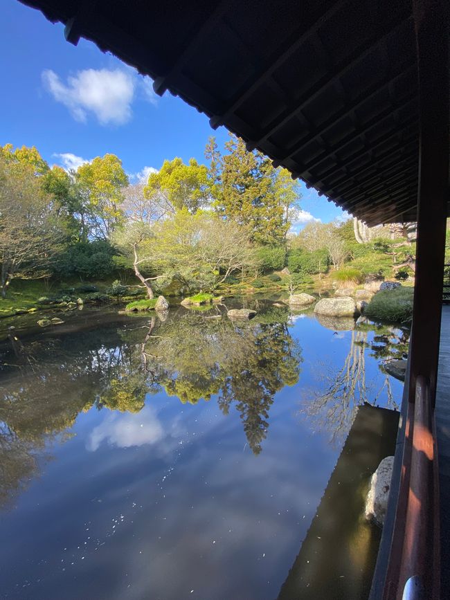 Hamilton Gardens - Japanese Garden