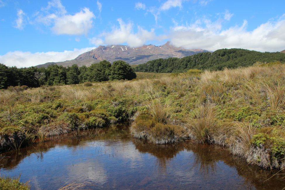 Mount Ruapehu 