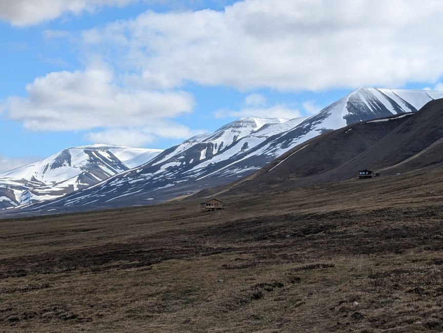 Spitzbergen / Svalbard (20 giugno/ June 20)