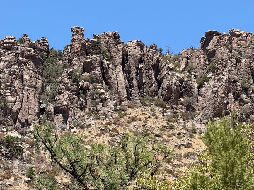 BLOG 12: In der Heimat der Chiricahua-Apachen