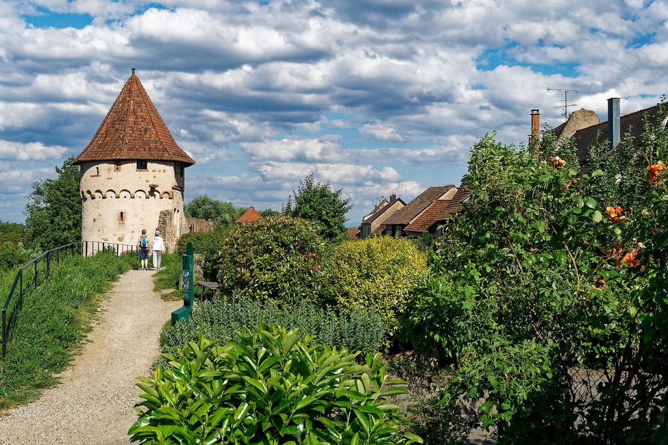 Elsass