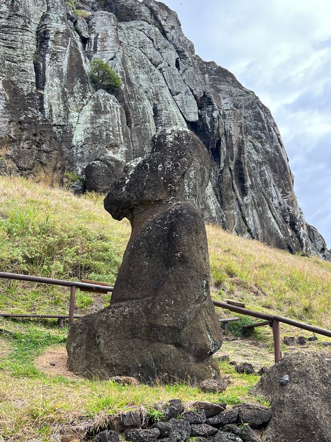 …