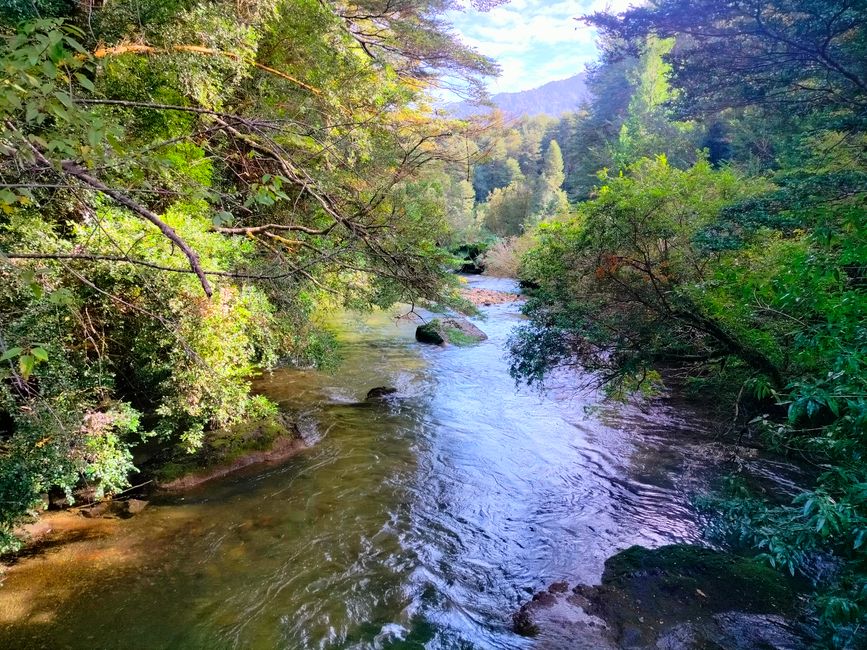 Viaggio in Patagonia Parte 3: Traghetto per Chaoten + Parco Nazionale Pumalin