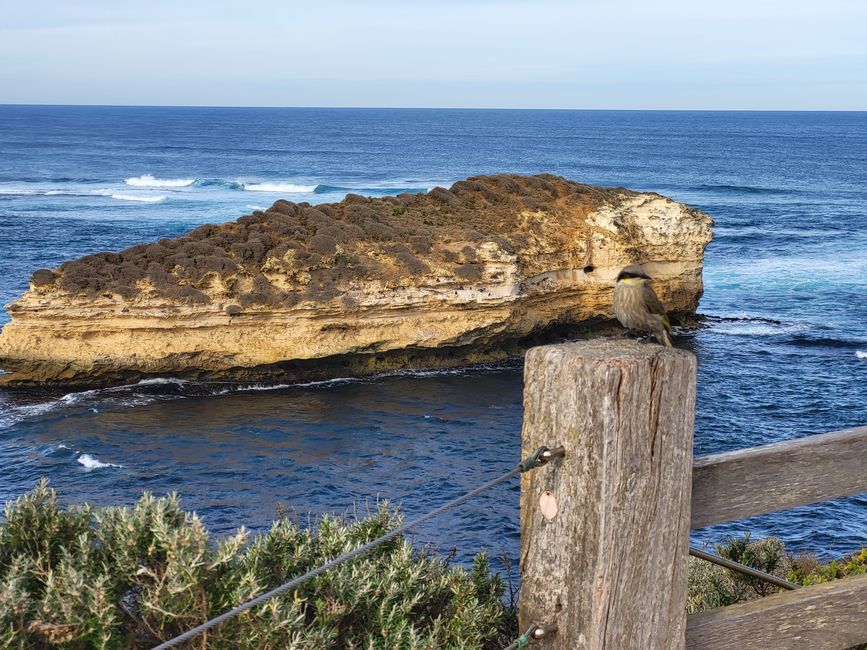Great Ocean Road, Port Fairy - Apollo Bay