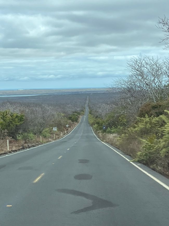 Galapagos: Fahrt zum Flughafen ...