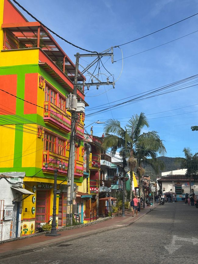 Medellín- die Stadt, in der alles erblüht?