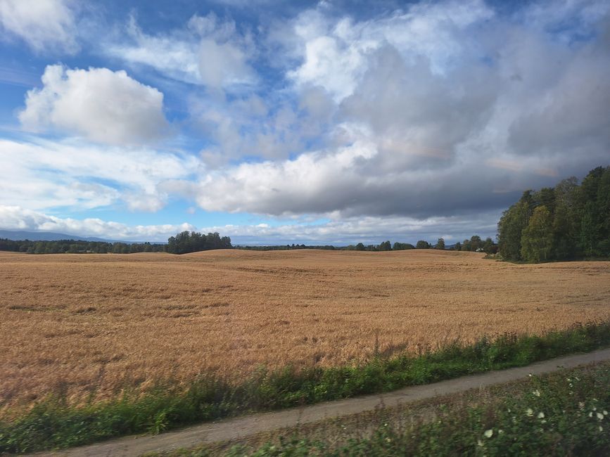 Tag 8 Via Oslo a Trondheim