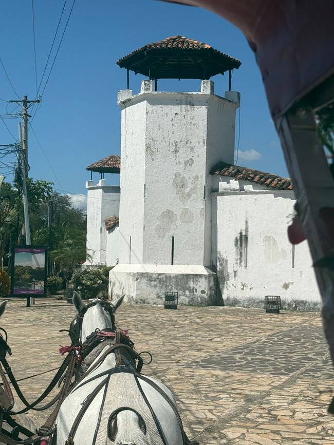 Camiones Mercedes por todas partes