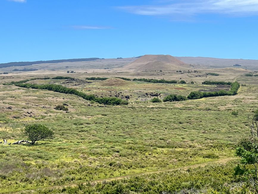 21: auf dem Rückweg nach unten Blick nach NW …