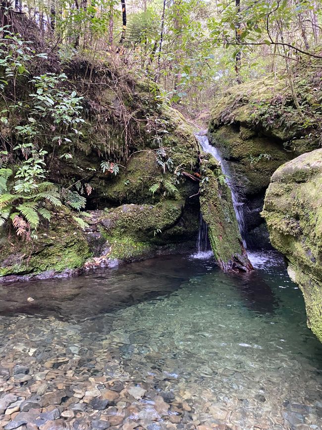 Wasserfall Pelorus Bridge - Emerald Pool