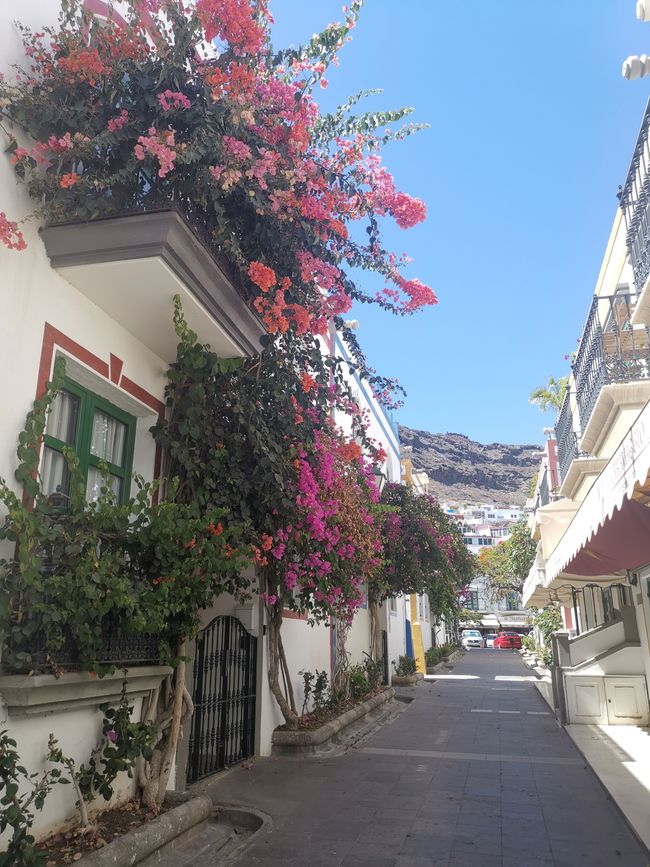 Gran Canaria Giugno 2024