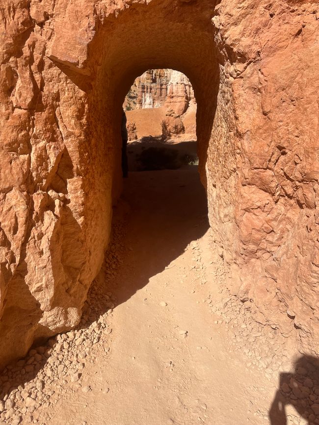 Tierra de Cañones: Zion y el Cañón de Bryce❤️