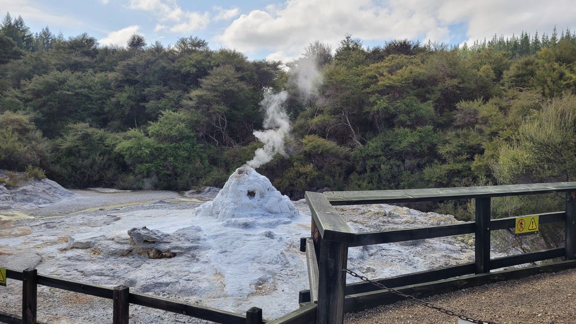 In Wai-O-Tapu National Park and at Lady Knox